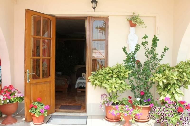 Отель «Дельфин»