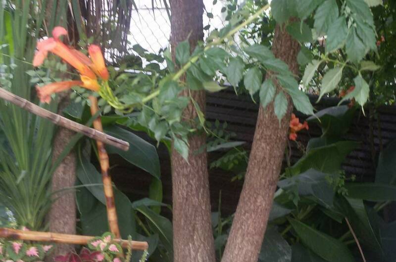 Гостевой дом «Эвкалипт»