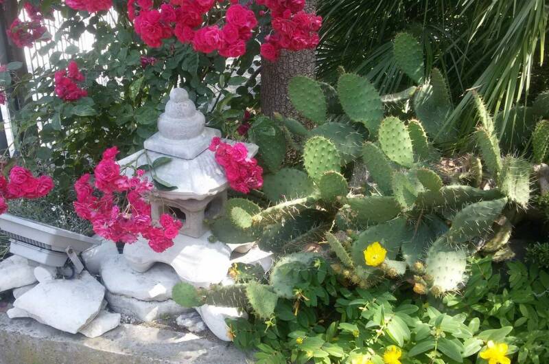 Гостевой дом «Эвкалипт»