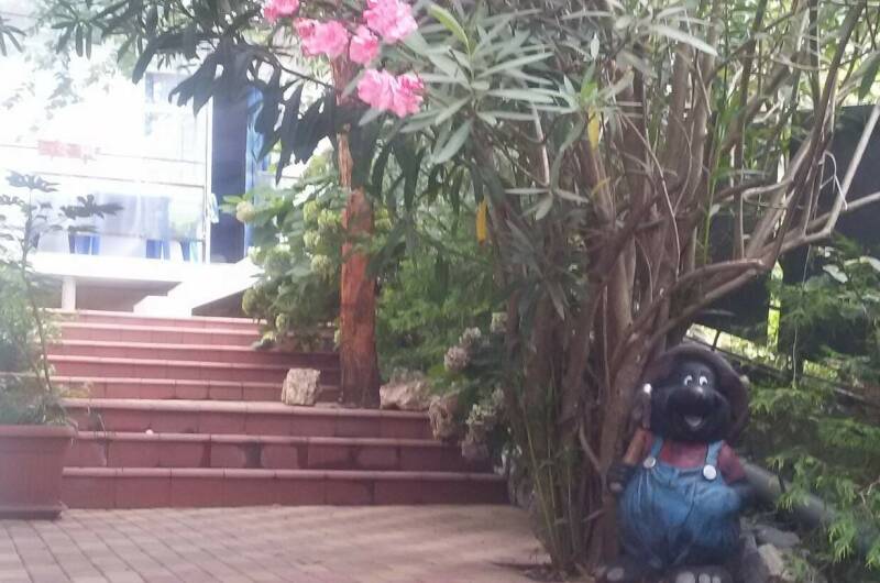 Гостевой дом «Эвкалипт»