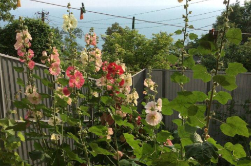 Гостевой дом «У Наталии»