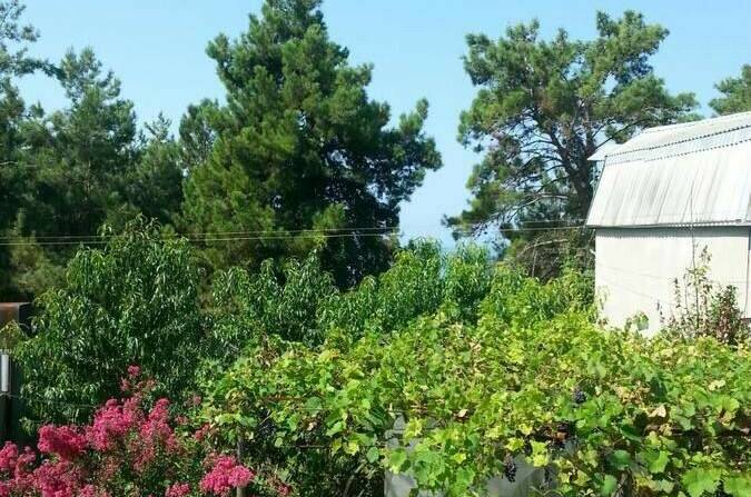 Гостевой дом «Зара»