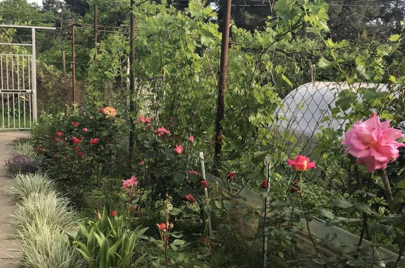 Гостевой дом «Зара»