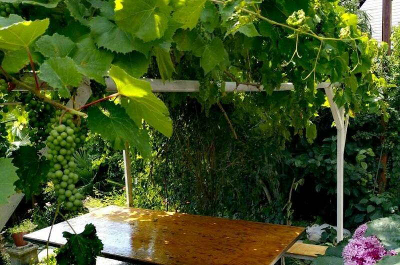 Гостевой дом «Viktori»