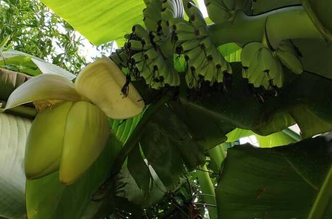 Гостевой дом «Viktori»