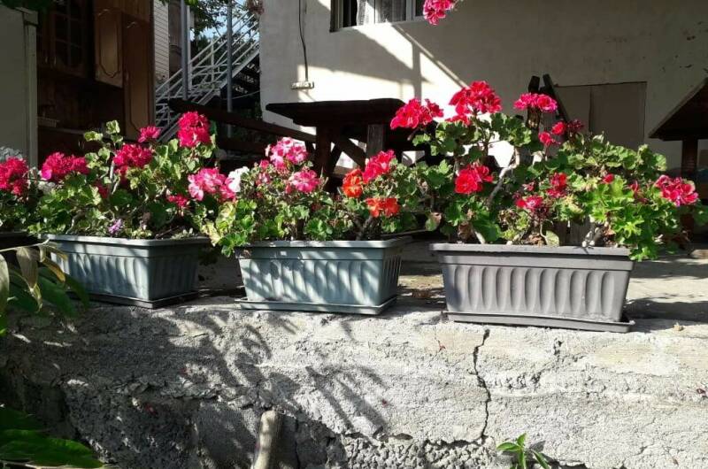 Гостевой дом «У Артура»