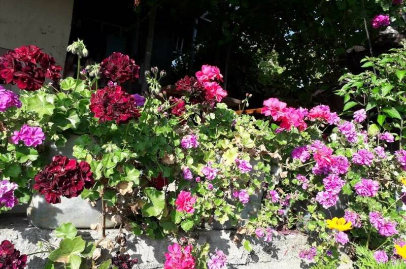 Гостевой дом «У Артура»