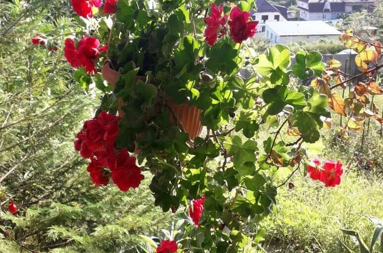 Гостевой дом «У Артура»