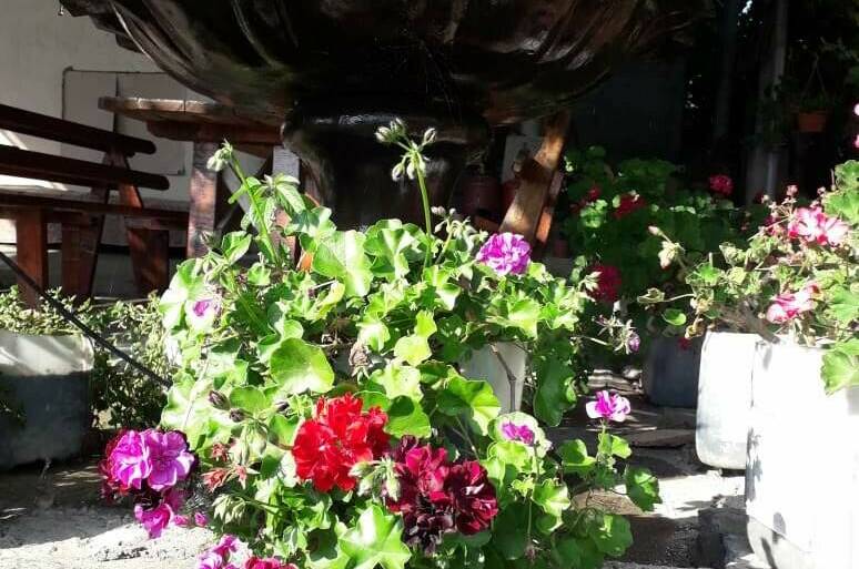 Гостевой дом «У Артура»