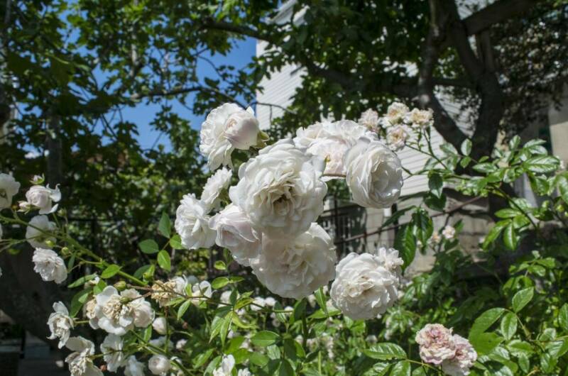 Гостевой дом «ТепЛоо»