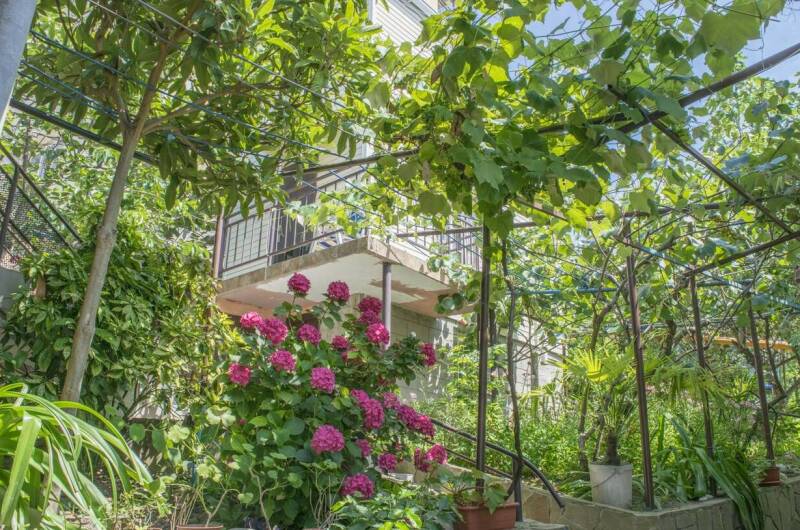 Гостевой дом «ТепЛоо»