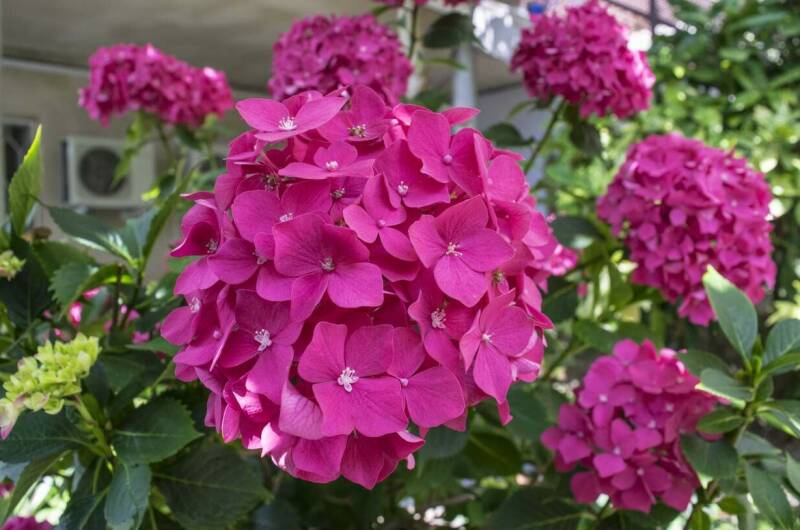 Гостевой дом «ТепЛоо»