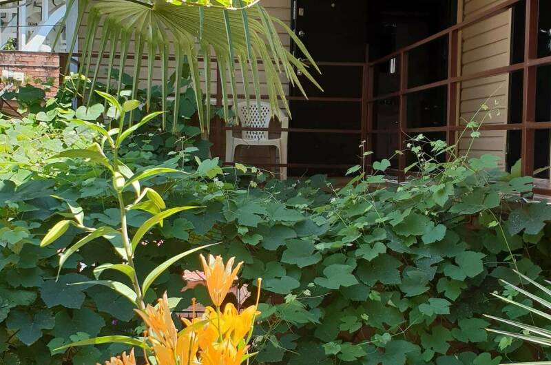 Гостевой дом «Виноградный дворик»