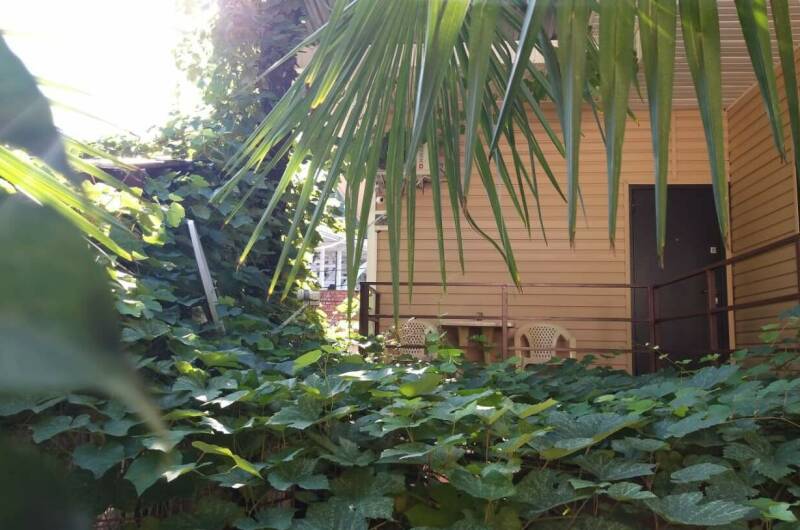 Гостевой дом «Виноградный дворик»