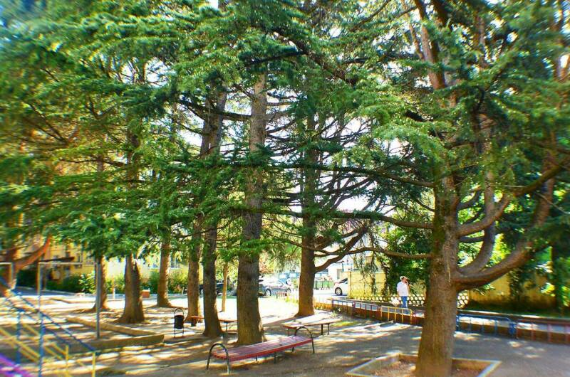 Студия в центре