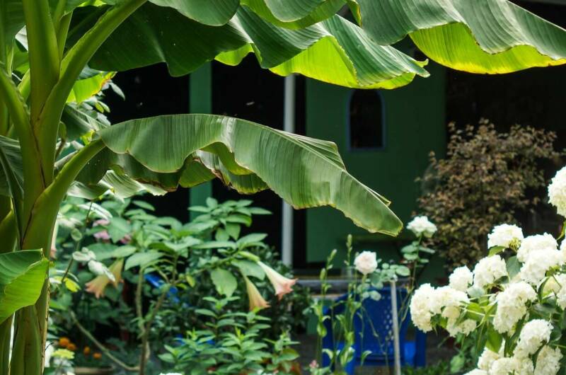 Частный сектор «У моря»