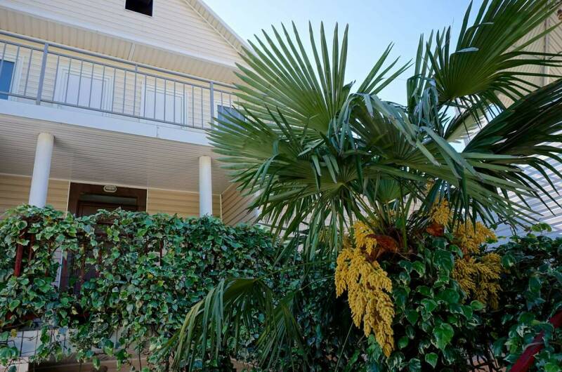 Гостевой дом «Морской бриз»