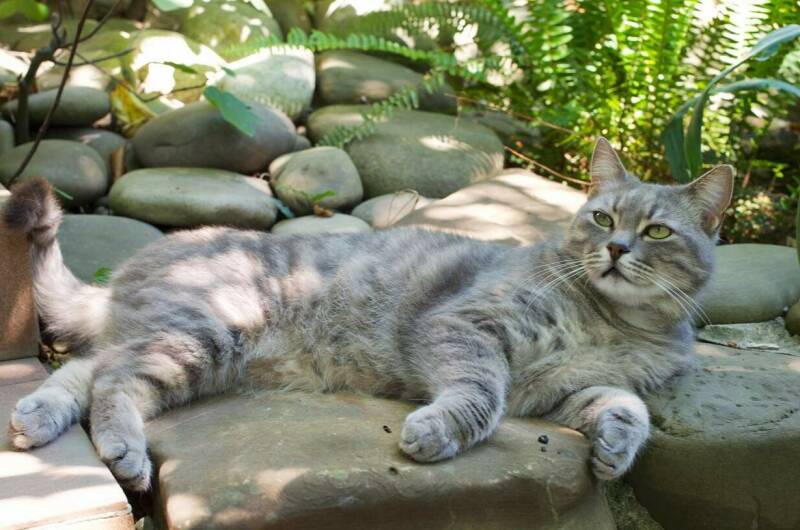 Гостевой дом «Морской бриз»