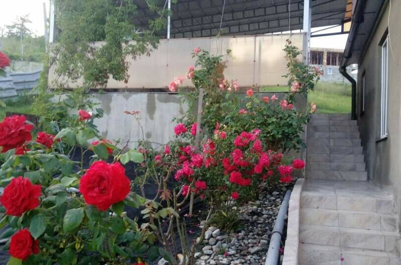 Дом «У Максима»