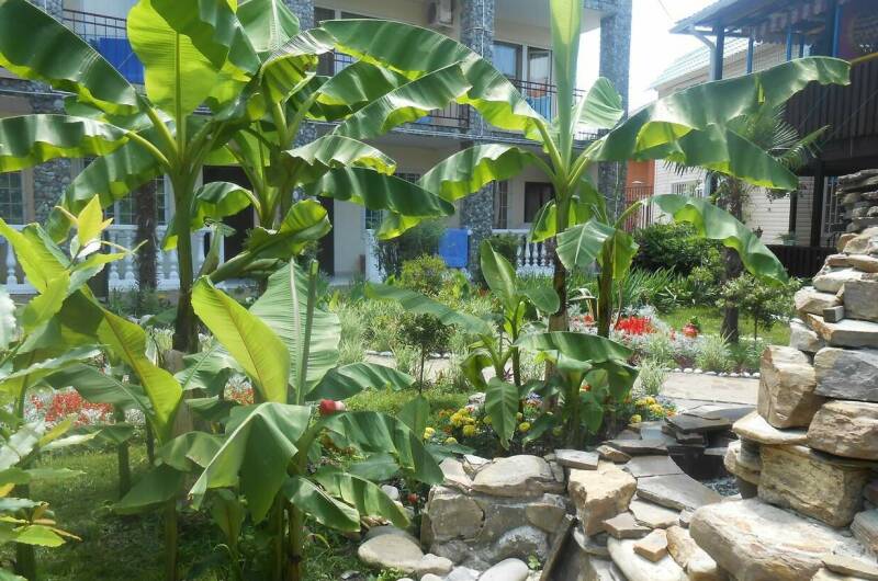 Отель «Hotel Viamond»