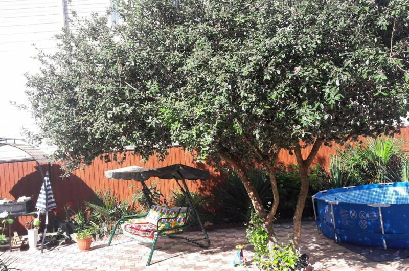 Домик для гостей на Богдана Хмельницкого