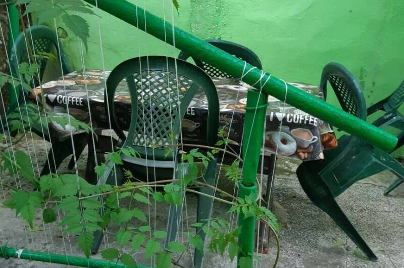 Частный дом «У Натэллы»