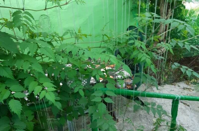 Частный дом «У Натэллы»