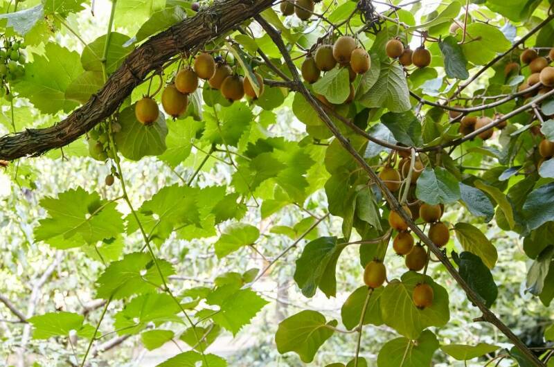 Гостевой дом на Глазунова 34