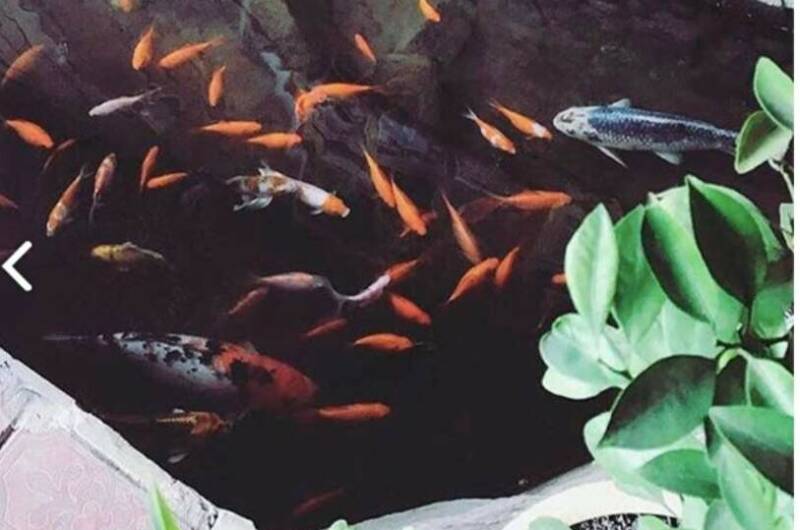 Гостевой дом «У Алины»