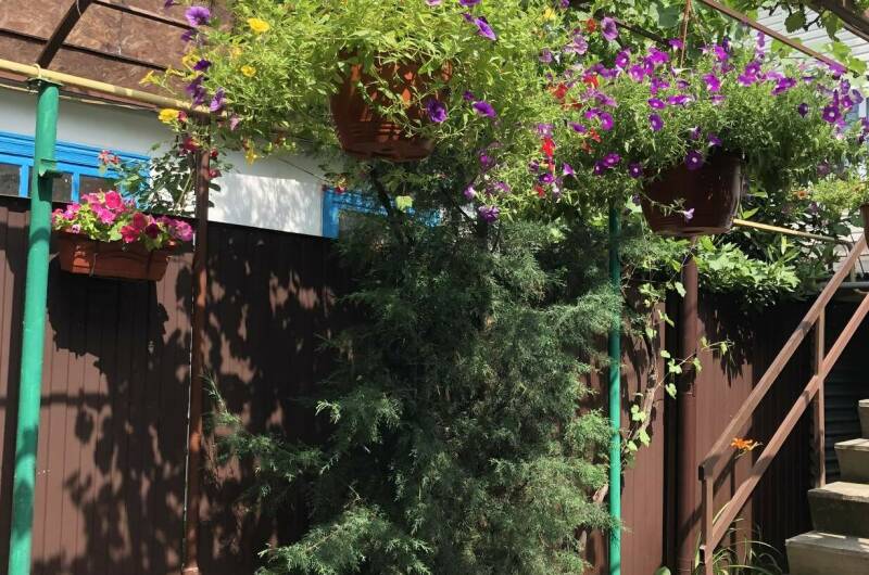 Гостевой дом «Адениум»