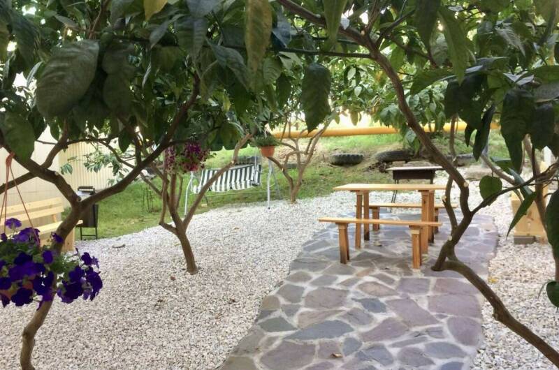 Гостевой дом «Пальмовый двор»