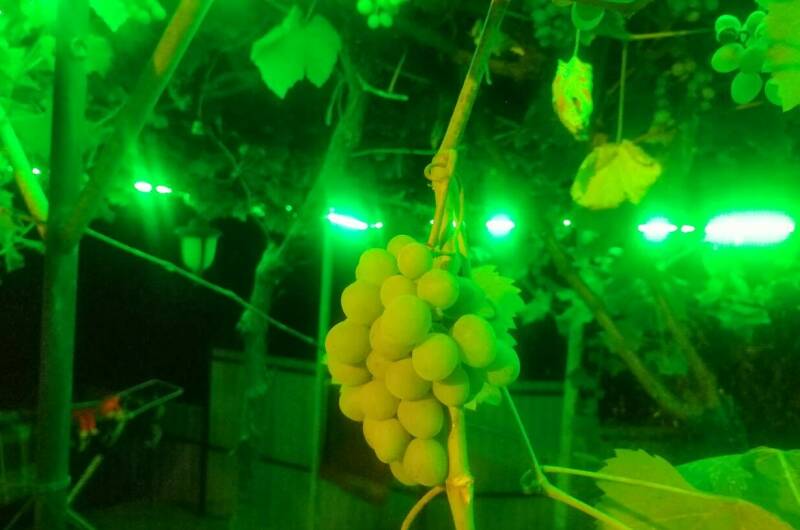 Дом под ключ