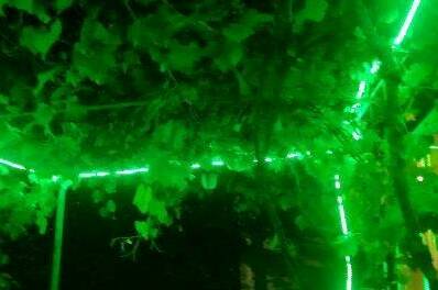 Дом под ключ