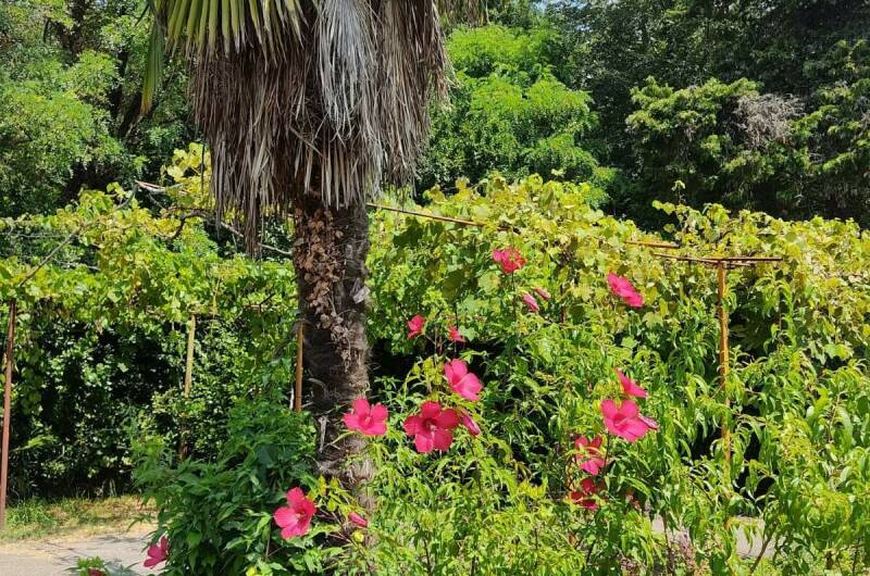 Дом под ключ