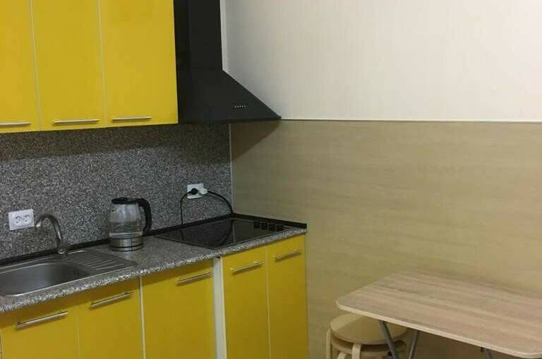 Двухкомнатная квартира на Станиславского