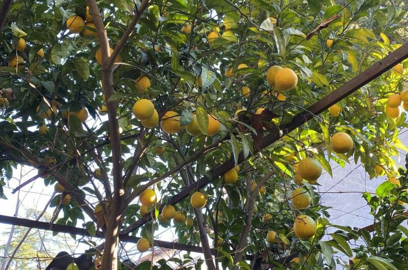 Частный сектор «У Михаила»