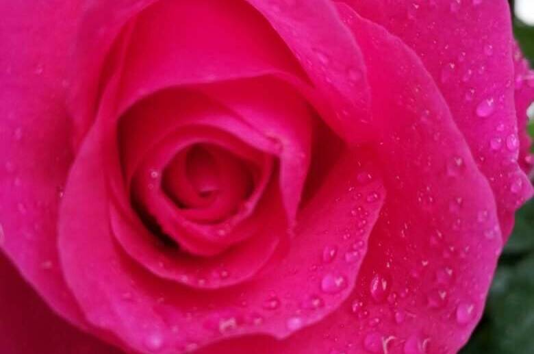 Гостевой дом «у Дины»