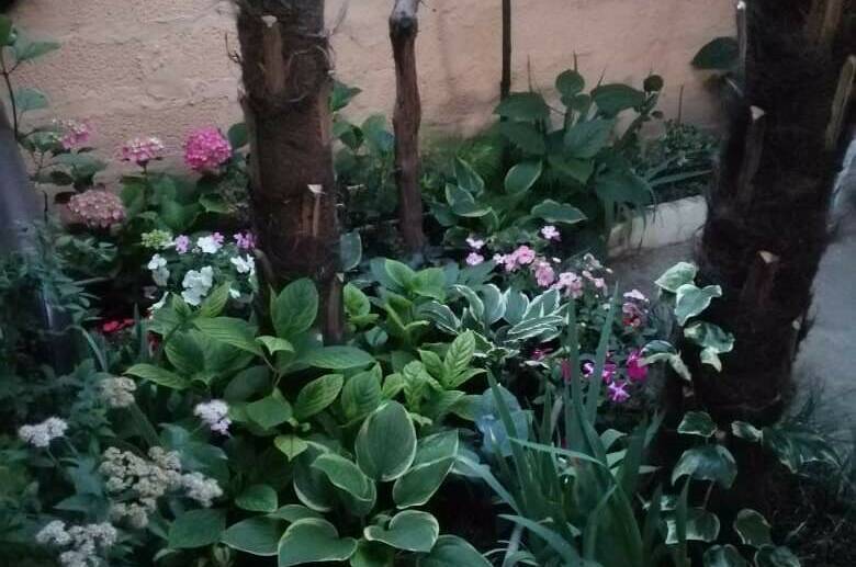 Гостевой дом «у Дины»