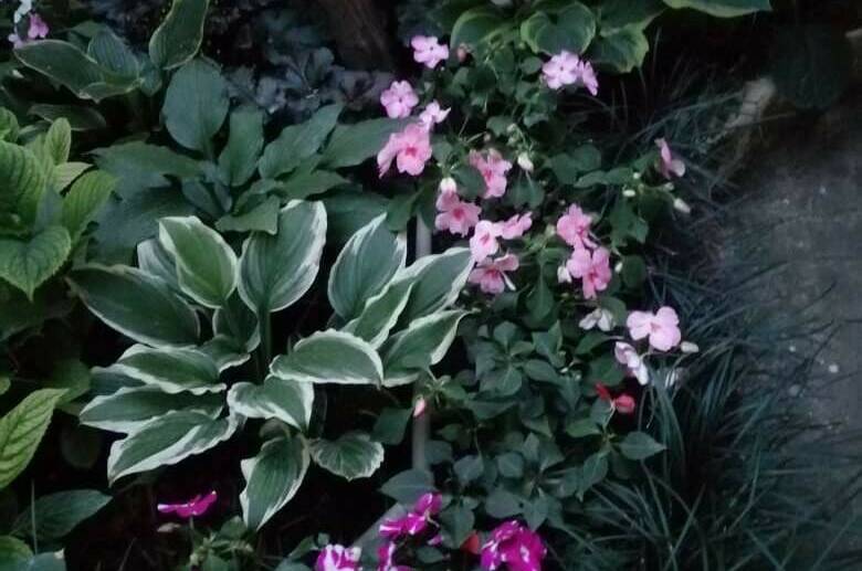 Гостевой дом «у Дины»