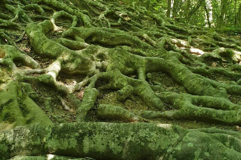 Эко комплекс «У дольмена»