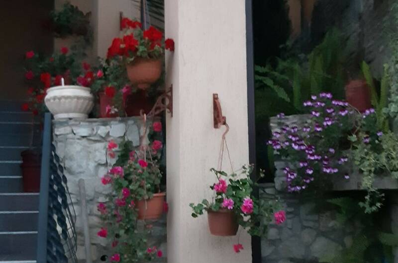 Гостевой дом «GreenWood»