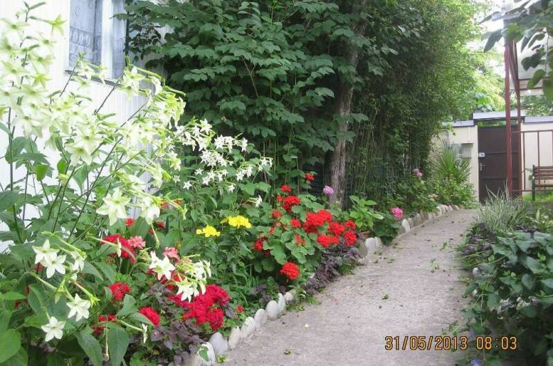 Частный дом у моря