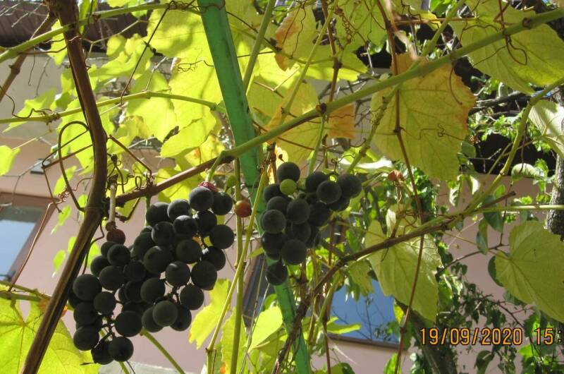 Частный дом у моря