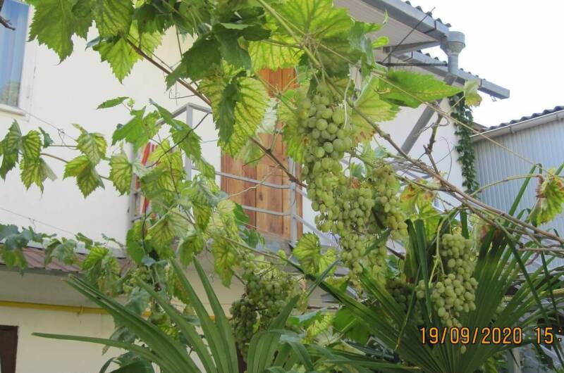 Частный дом у моря