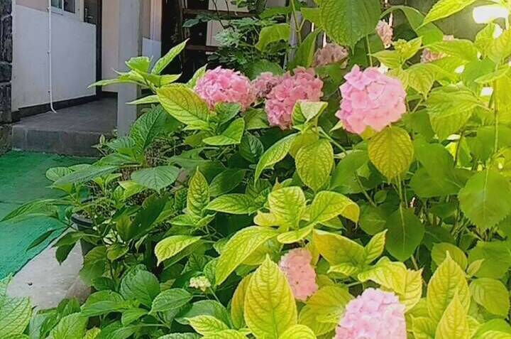 Гостевой дом «У Ясны»