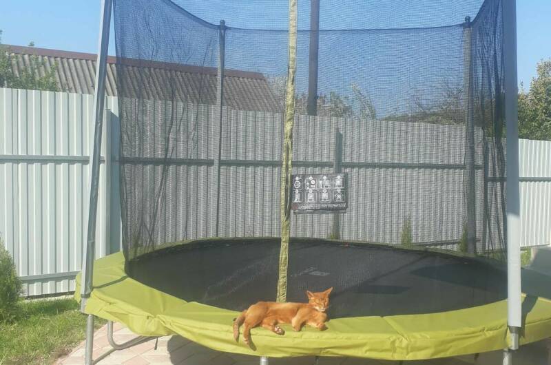 Гостевой дом на Дунайской