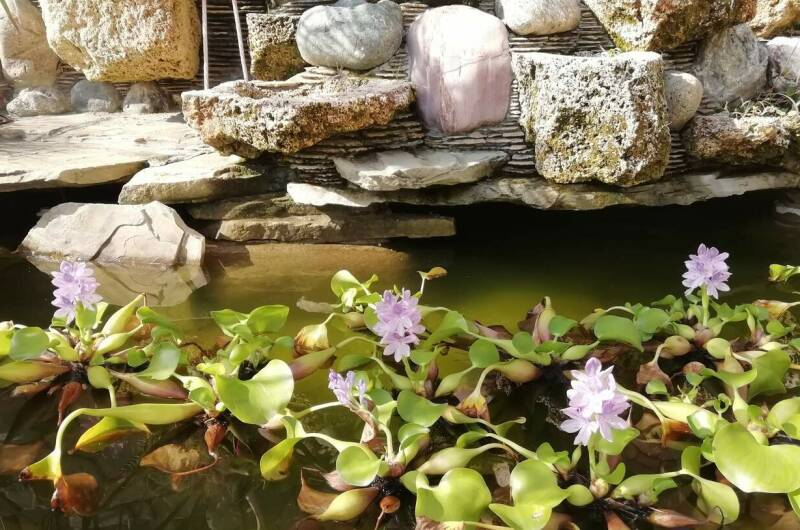 Частный сектор «Solar»