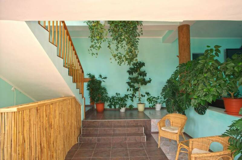 Гостевой дом «МаркоПолоСочи»