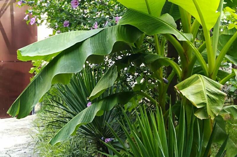 Коттеджи «У Люси»