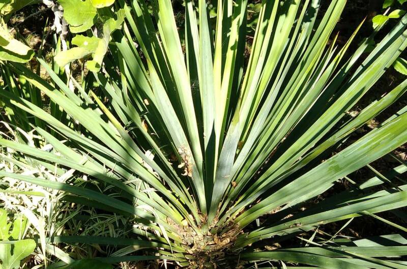 Коттеджи «У Люси»